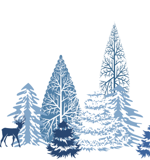Christmas Winter PNG Tree with ice Image Free Download