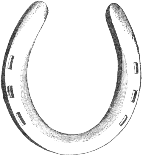 Hand Sketch On Horseshoe PNG Image
