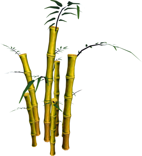 Bamboo PNG Logo On Free Download