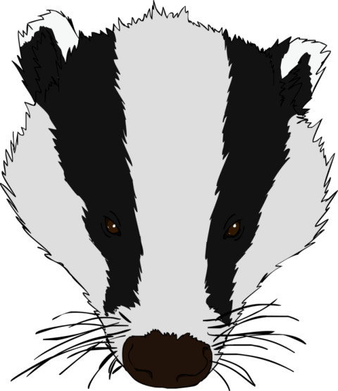 Badger PNG HD Background Face Logo & Wallpaper Free Download
