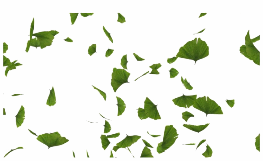 Green Leaves PNG Falling Image Free Download
