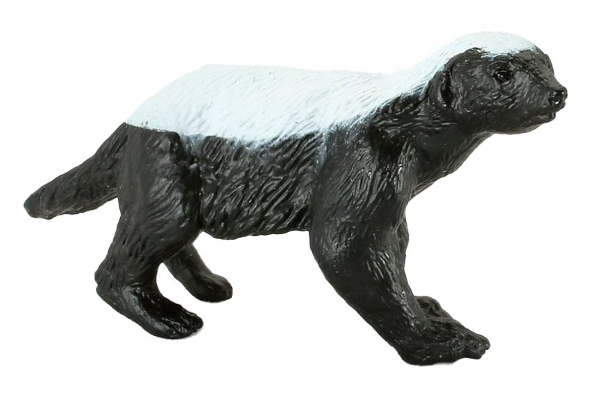 Badger PNG HD Wallpaper On Transparent Background Free Download