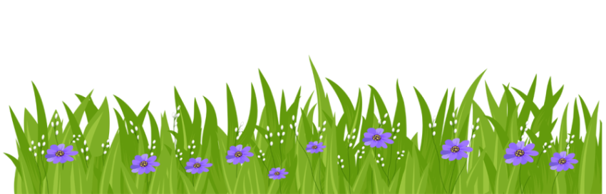 Royalty Gass PNG Picture Free Transparent