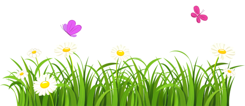 Grass Flower PNG Stock art Free Download