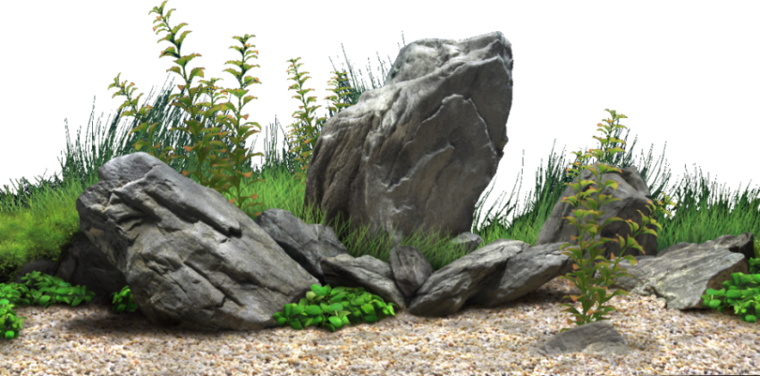Aquarium PNG Picture On Free Download