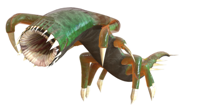 Ambigolimax Parvipensi Slug Image PNG Transparent Free Download
