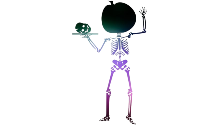 Minicraft Skeleton PNG Cartoon Character