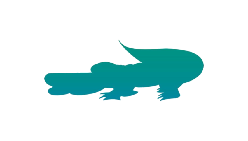 Peter Pan PNG Turtoise Icon Free Download