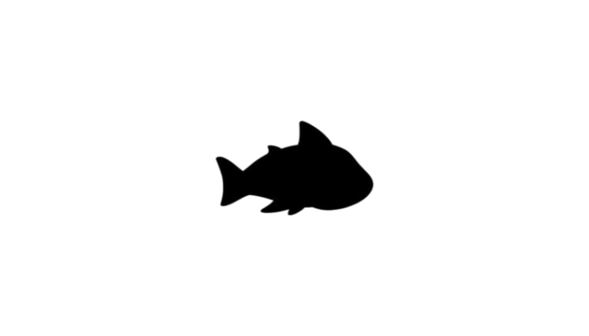 Meme Baby Shark PNG Icon Free Download
