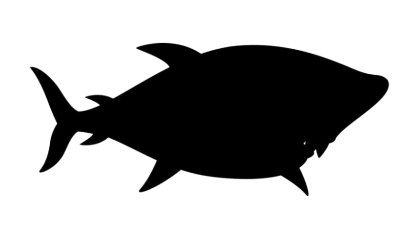 Illustration Baby Shark PNG Icon free Download
