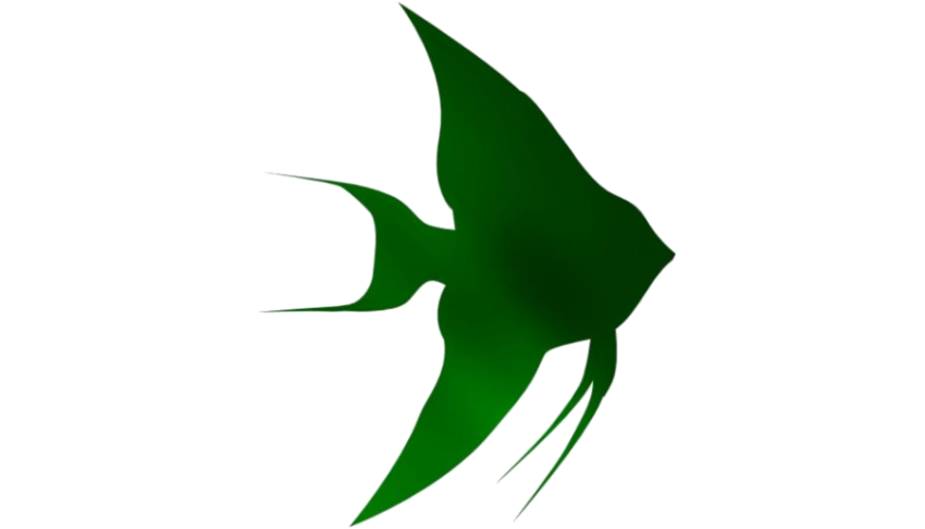 Green Baby Shark PNG Free Background Image