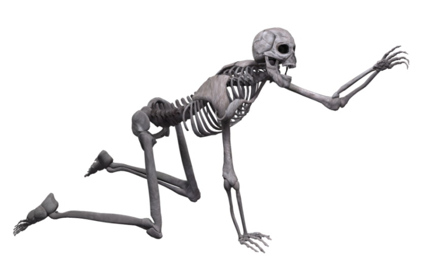 Kawii Skeleton PNG Picture On Free