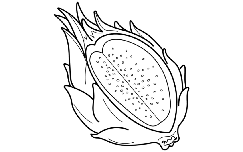 Download Free HD Svg Clipart Vector Psd Graphic Pitaya Computer Icons Fruit Clip Art Vector Sillhuette Graphic Dragon Black Icon PNG Free Download