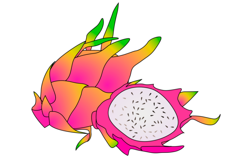 HQ Pitaya Fruit, Dragon Fruit, Food, Leaf, Flower PNG Clipart Stock Illustration Image PNG Free Download