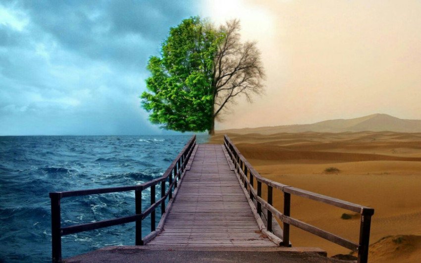 Season Spring Summer Autumn Art Tress stock Photo, Royalty & Free Stock Photo