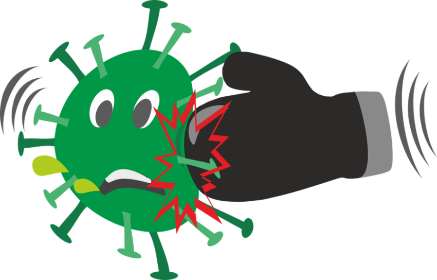 Fight with Coronavirus PNG Emoji