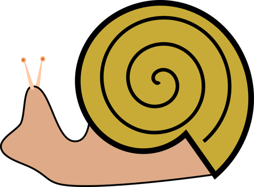 Vector Art Cartoon Slug Image PNG Transparent free download