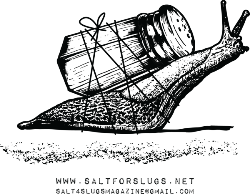 Clear Background Slug Transparent Background PNG Slug Sketch Art Image Free Download