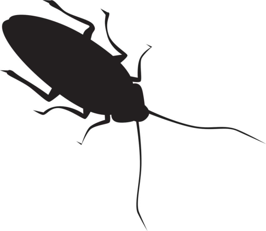 Psd Vector Clipart Black Cockroach PNG Icon Transparent Free Download