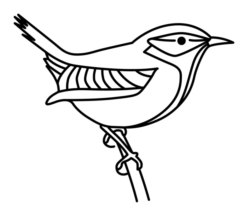 Wren Outline PNG Art Photo