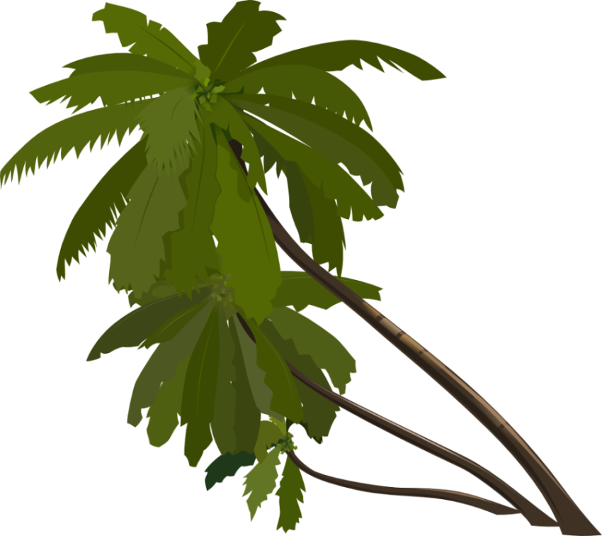 Clipart Palm Tree PNG Emoji Image