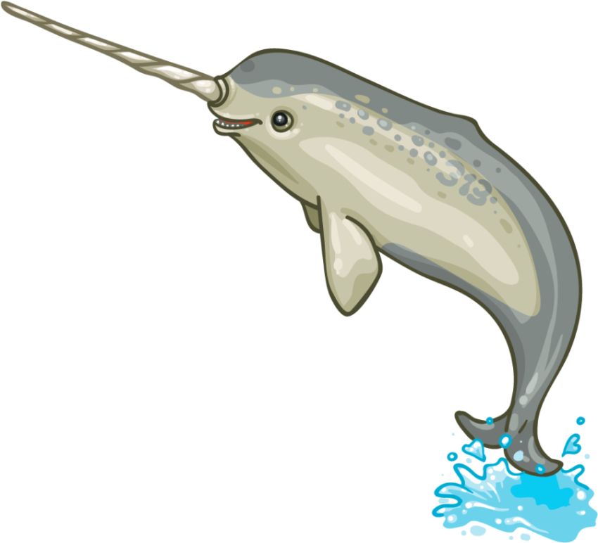 Free Narwhale & Unicorn Image PNG Transparent Image