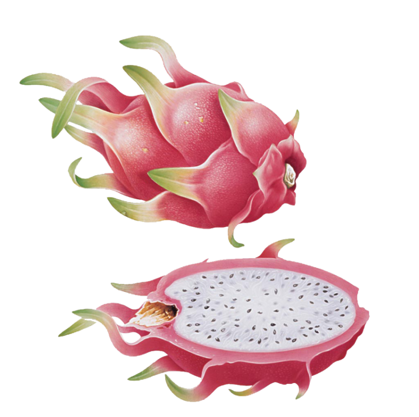 Isolated Vector Clipart Graphic Dargon Food On Transparent Background Free Download