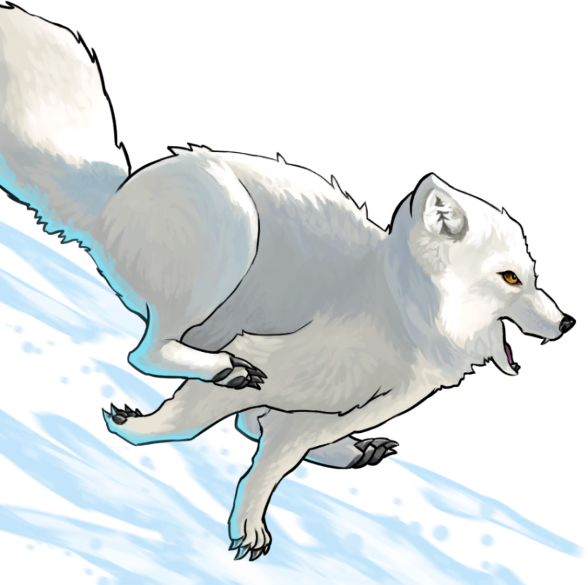 Snow Arctic Fox running PNG Photo Free Download