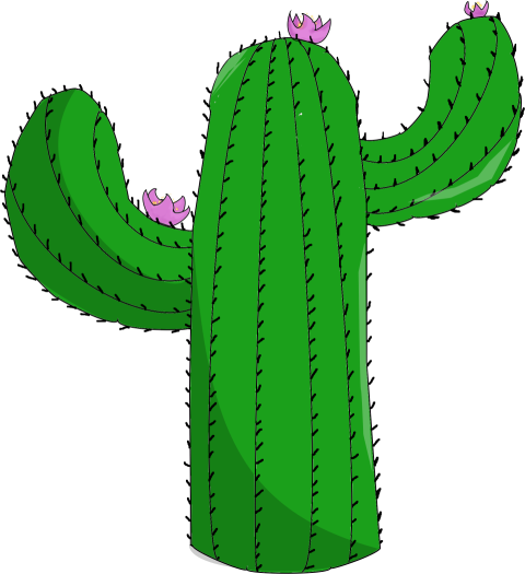 Kawai Cactus PNG Image with Transparent Background
