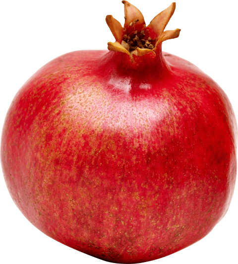 Best Clipart Red Anar Graphic Icon PNG Photo Free Transparent