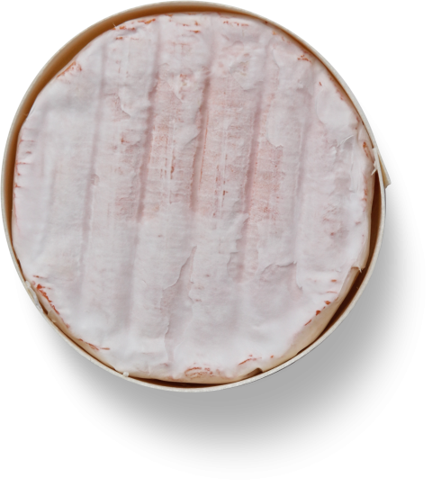 Oven Cheese,White French Chees,HD Photo Free Download PNG Image,Transparent Background
