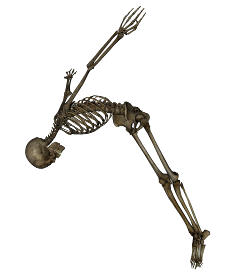 Dancing Skeleton PNG Transparent Background