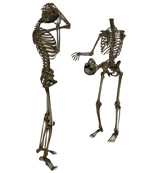 Thinking Skeleton PNG Picture On FreePNG