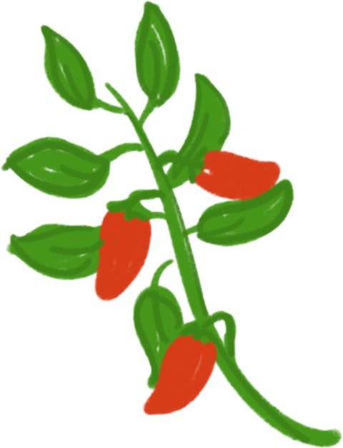 Tabasco Free Food PNG Vector Art Image
