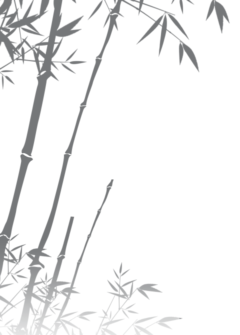 Artistic Art on Bamboo PNG Free download