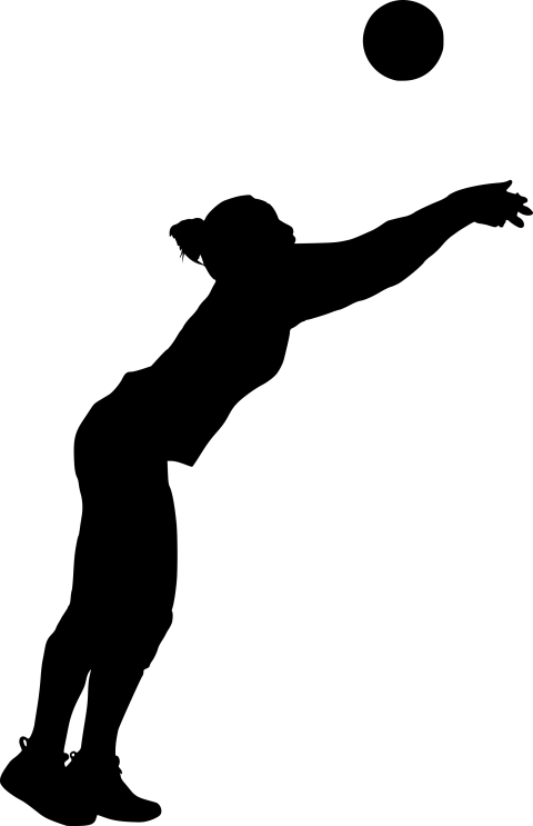 Ai Vector Art On Volleyball PNG Shadow picture