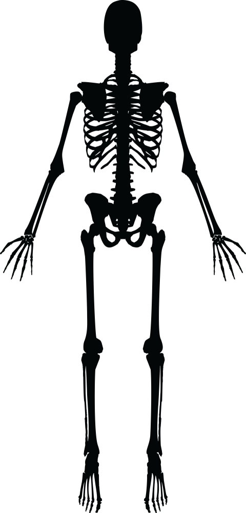 Illustration Black Human Skeleton PNG Free picture