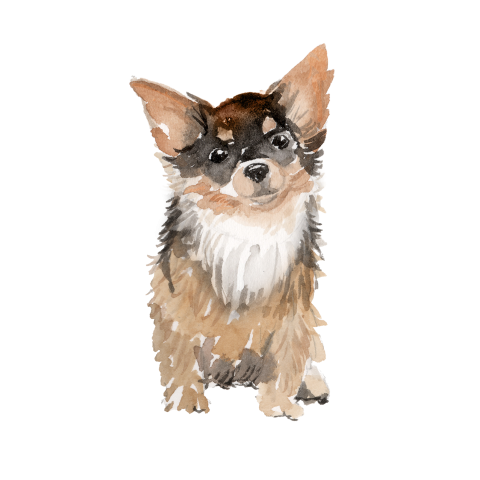 Cartoon puppy little yellow dog PNG Free Download