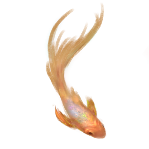 Beautiful fine small fish koi PNG download