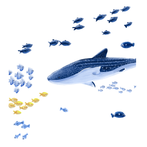 Cartoon ocean fish group png Download Free