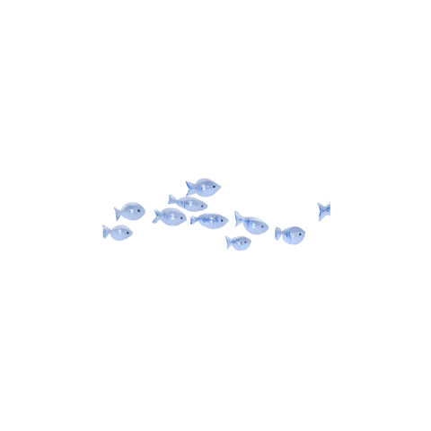 Cartoon ocean fish download PNG Free