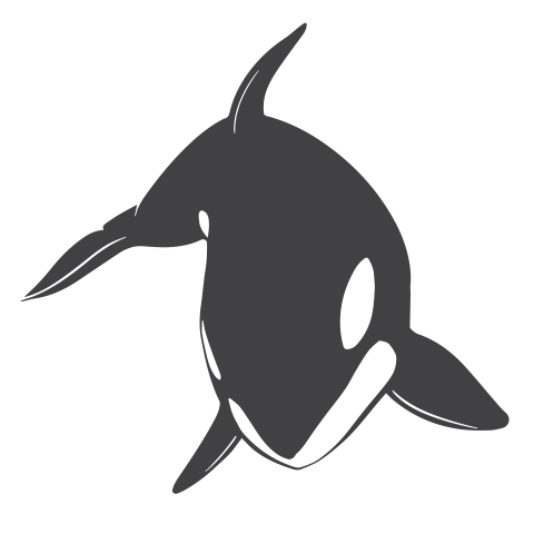 Killer whale orca fish PNG Free Download