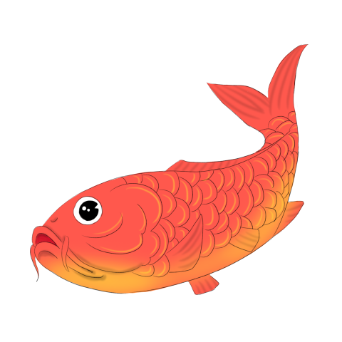 Red black fish eyes red PNG Free Download