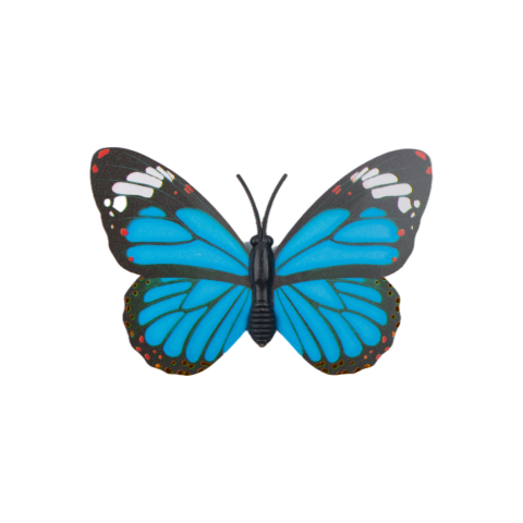 Butterfly tentacles wing color PNG Download