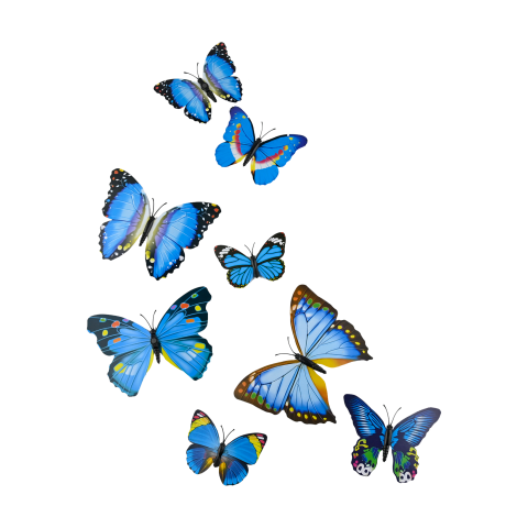 Butterfly blue beautiful Free PNG Download