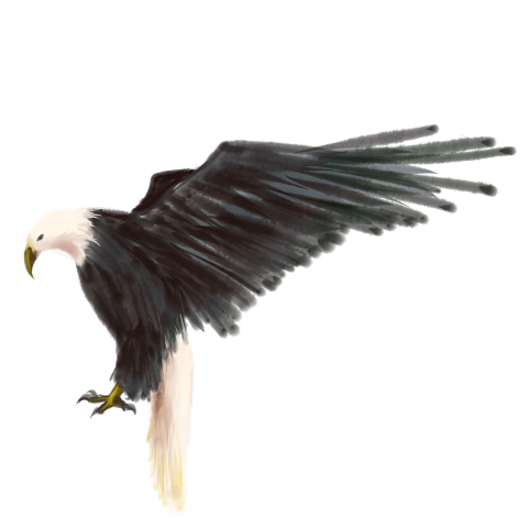 Looking to the future flying PNG Free Download