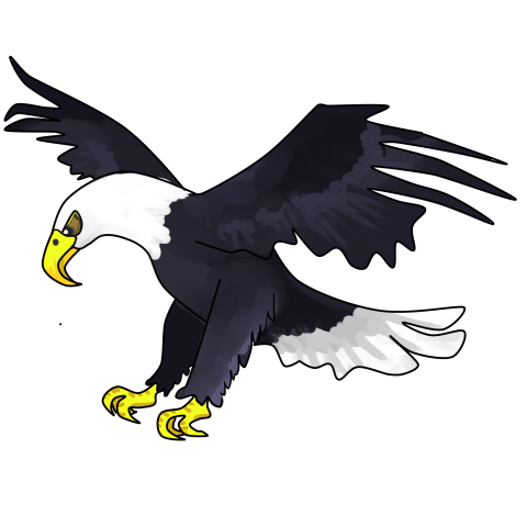Flying eagles PNG Free Download