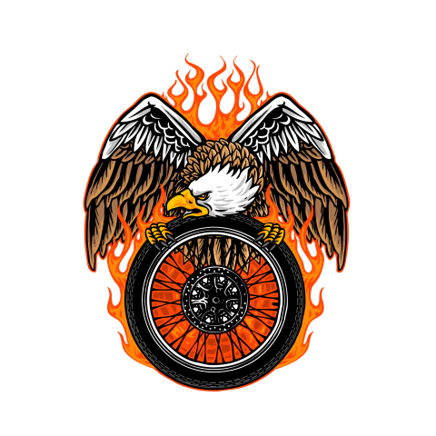 Vector of eagle hold PNG free Download