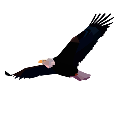 Eagle Free Download PNG