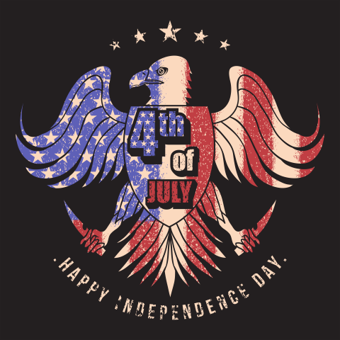 Eagle usa flag 4th jully PNG free Download
